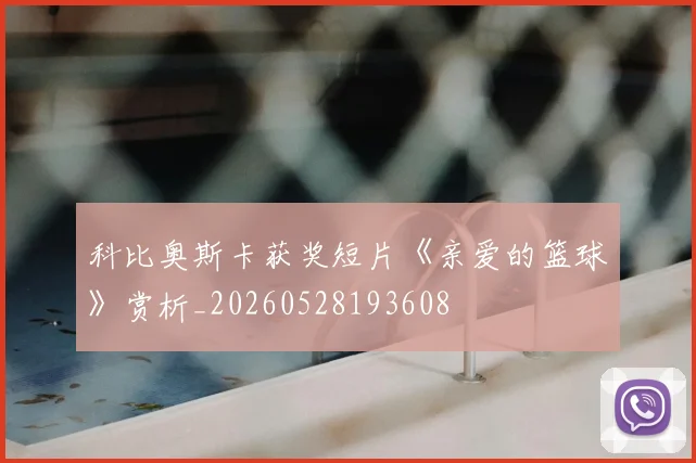 科比奥斯卡获奖短片《亲爱的篮球》赏析_20260528193608
