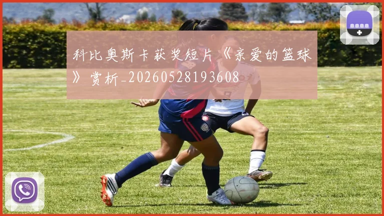 科比奥斯卡获奖短片《亲爱的篮球》赏析_20260528193608