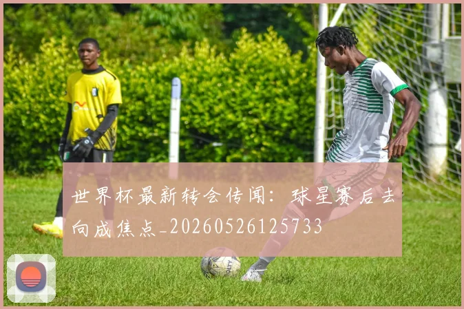 世界杯最新转会传闻:球星赛后去向成焦点_20260526125733