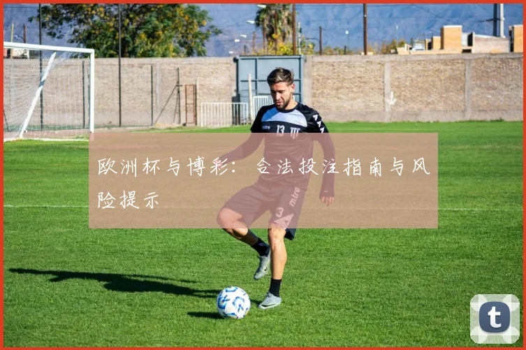 欧洲杯与博彩：合法投注指南与风险提示